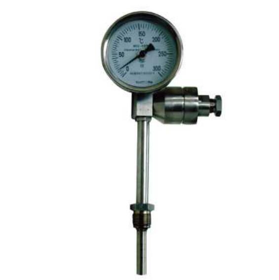 AnHui TianKang (Group)Shares Co.,Ltd Bimetal thermometer with remote transmission