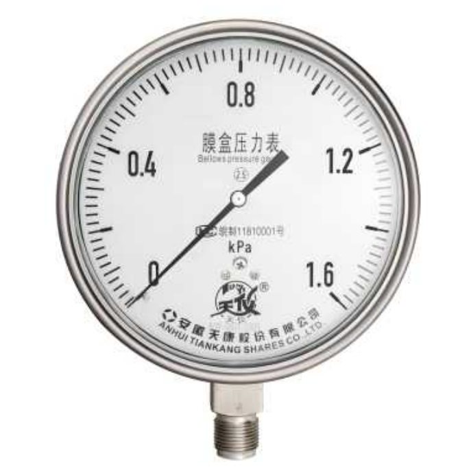 AnHui TianKang Capsule pressure gauge YE