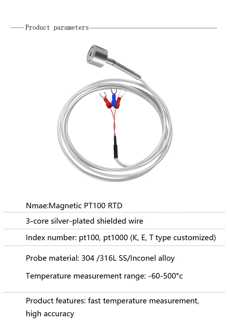 Magnetic PT100 RTD Temperature Sensor