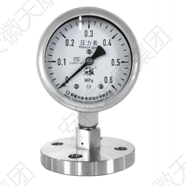 Pressure gauge with flanged diaphragm seal and a flushing ring