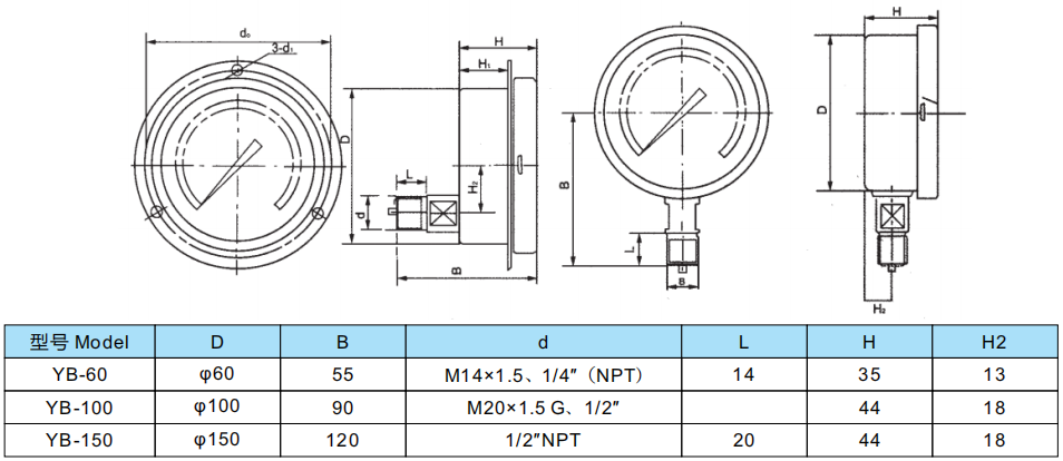 Anhui Tiankang Stainless Steel Pressure Gauge