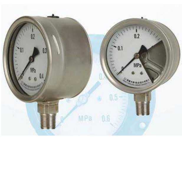 AnHui TianKang Pressure Gauge